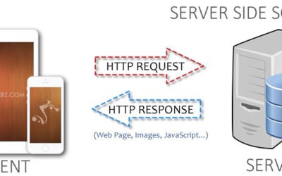 Server Side Scripting