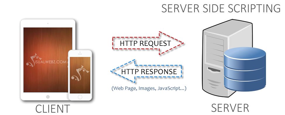 server-side-scripting-seattle-web-design-visualwebz