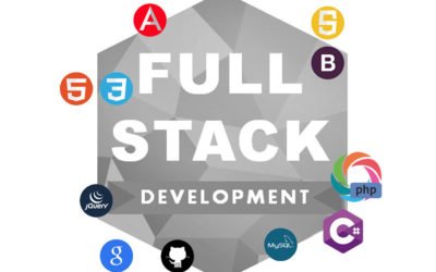 Seattle Full-Stack Website Developer