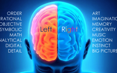Left Brain vs Right Brain