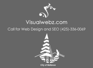 Bellevue website designer