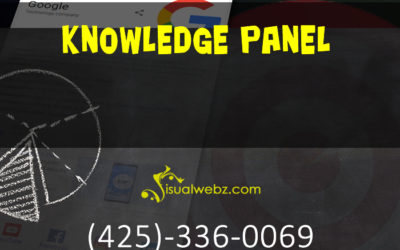 Knowledge Panel