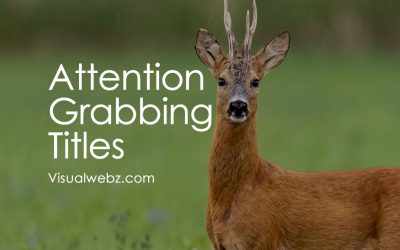 Attention Grabbing Titles for Websites