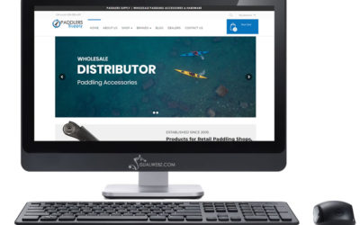 Slow Websites and Ranking…