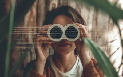 Meta Tag Assessment for Better SEO Performance