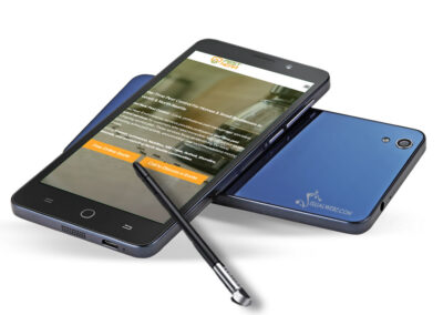 Everett Website Design & Digital Marketing Project for Pest Near